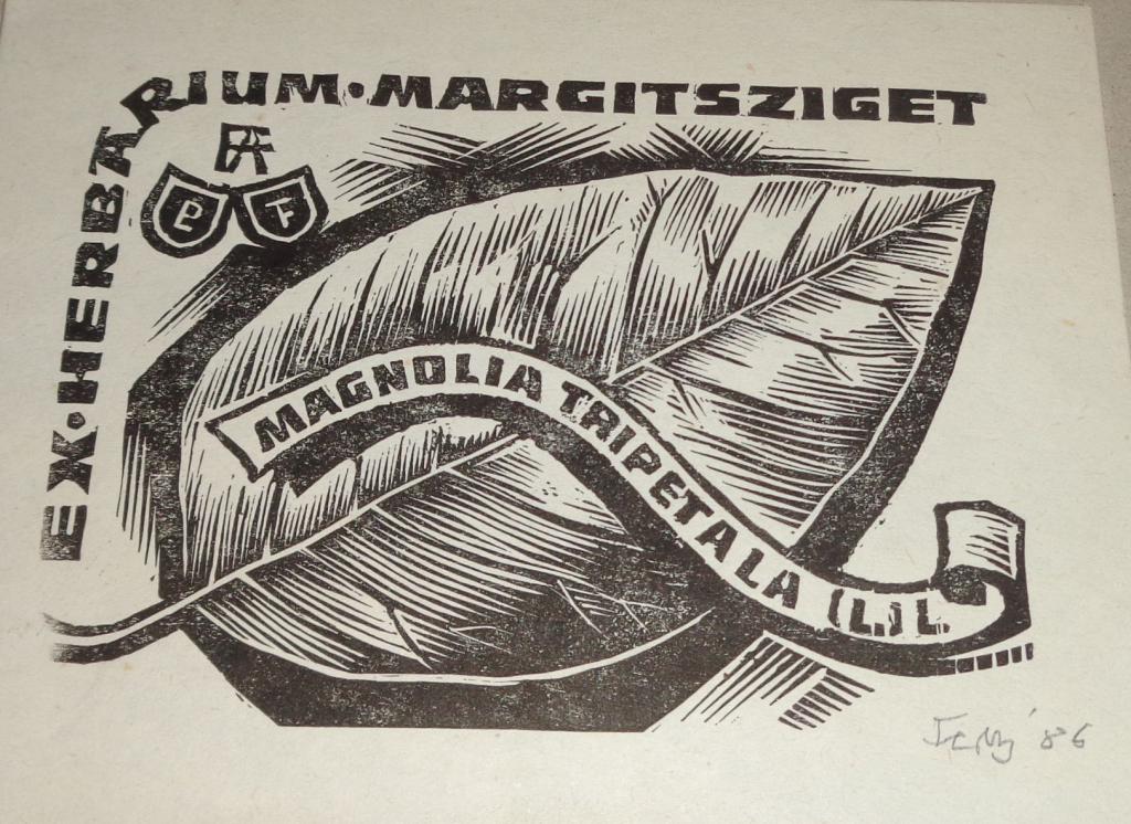 termék fotó
