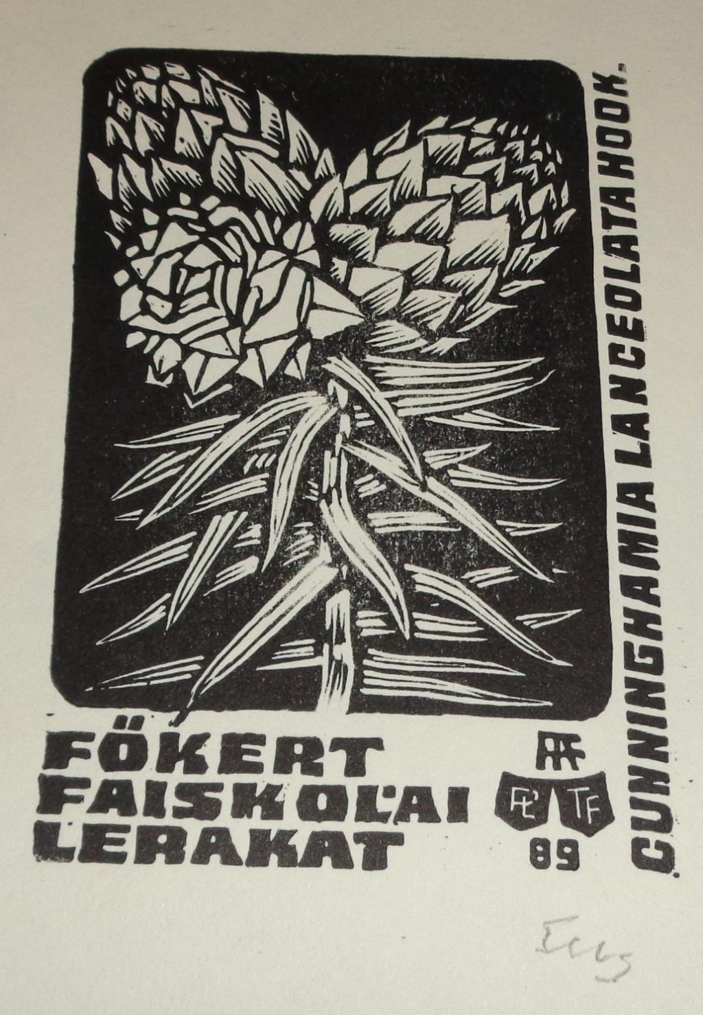 termék fotó
