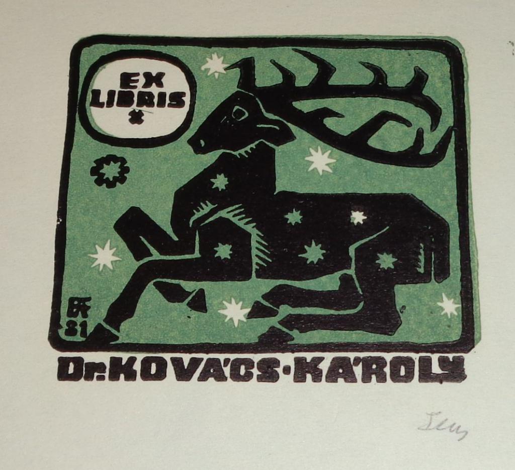 termék fotó