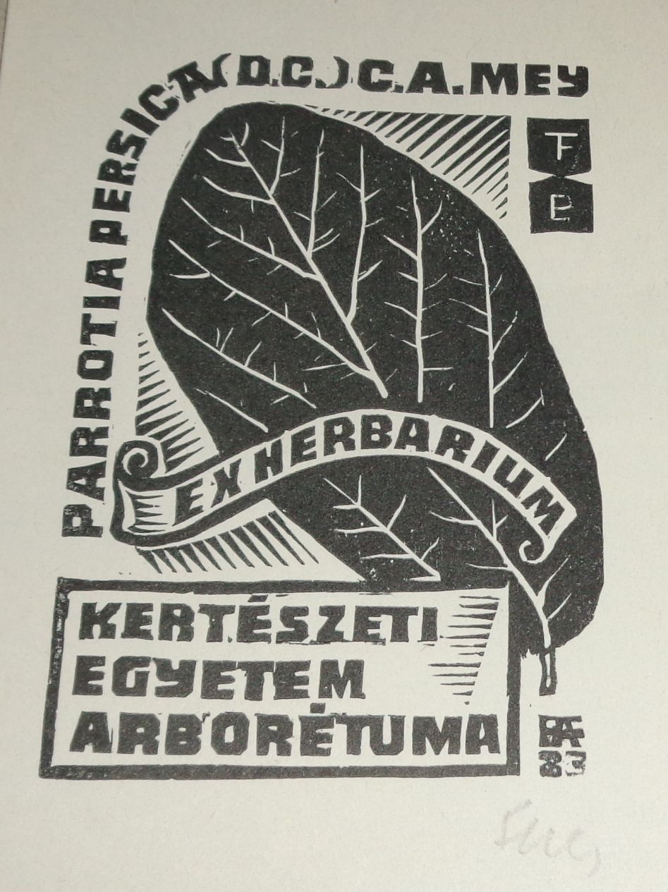 termék fotó