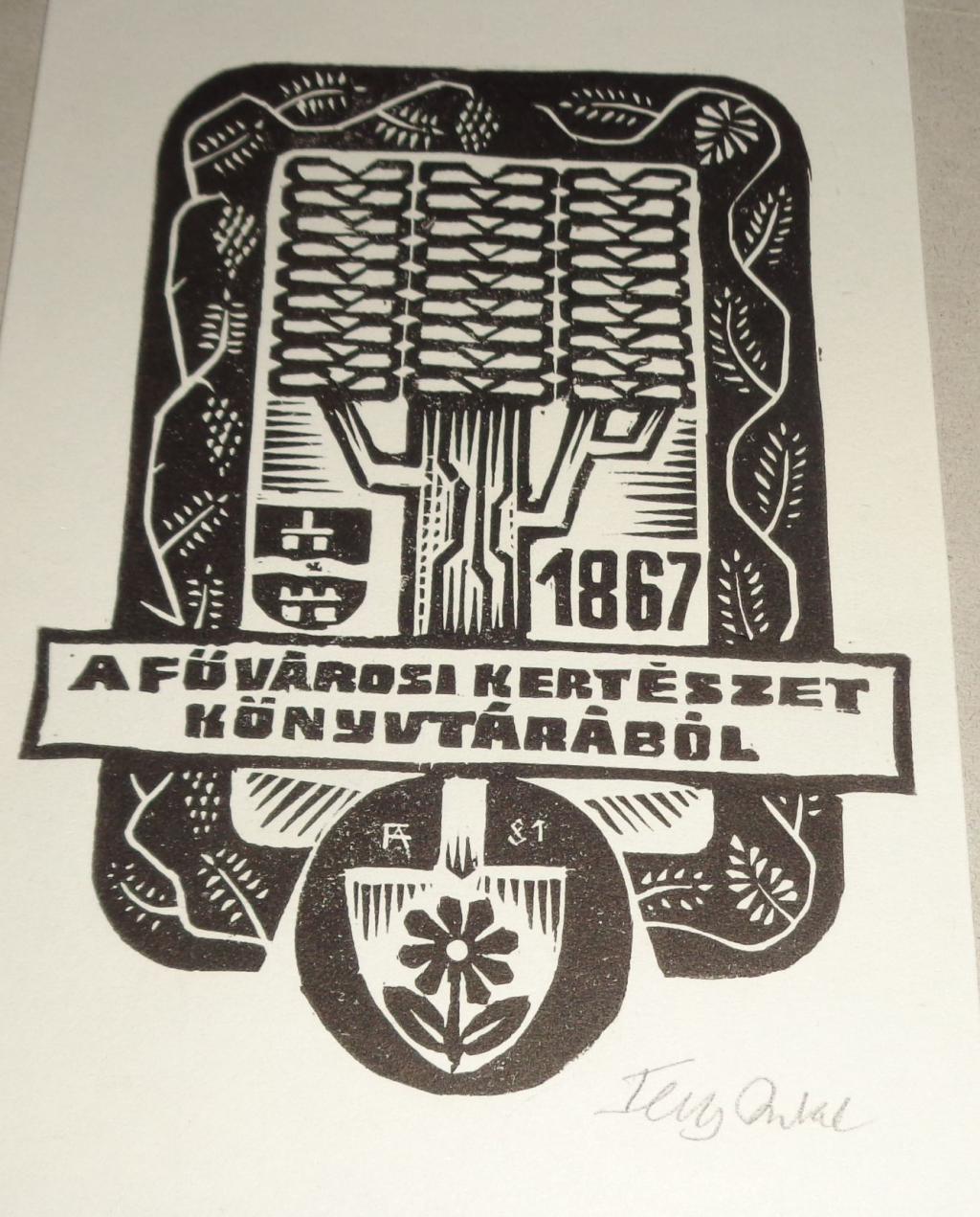 termék fotó