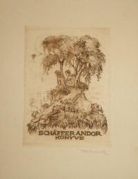 Révész Kornél (1885 - 1944): Schäfer Andor könyve