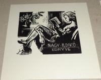 Menyhárt József (1901-1976): Nagy Ildikó könyve