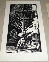 Menyhárt József (1901-1976): Nagy Dezső könyve