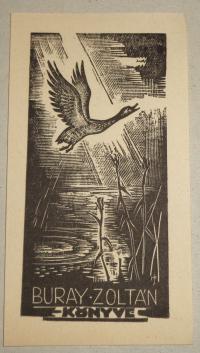 Menyhárt József (1901-1976): Buray Zoltán könyve