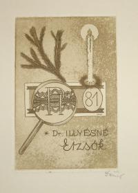 Dániel Viktor (1926 - 2001): Dr. Illyésné Erzsók. 81